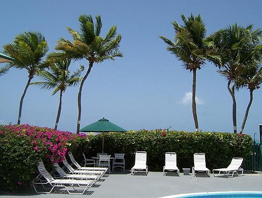 קריסטיאנסטד Colony Cove Beach Resort מתקנים תמונה